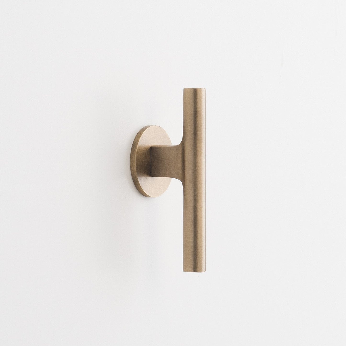 Angled close-up of Galley Pull showcasing natural brass tubular handle and round mounting plate on white background